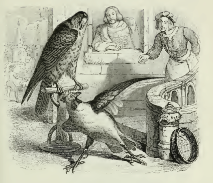 Aesop's Books: illustrated fables you can read online: The Falcon and ...
