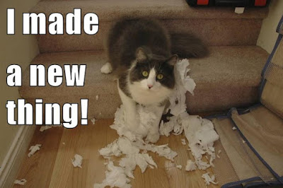 cat shreds paper