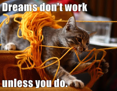 cat in yarn