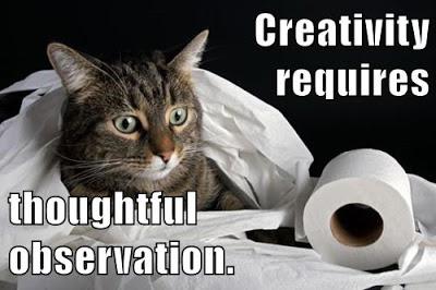 cat stares at toilet paper