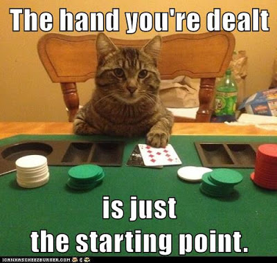cat with poker chips