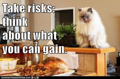 cat looks at turkey dinner