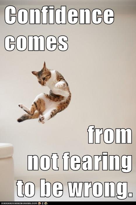 cat leaps in air