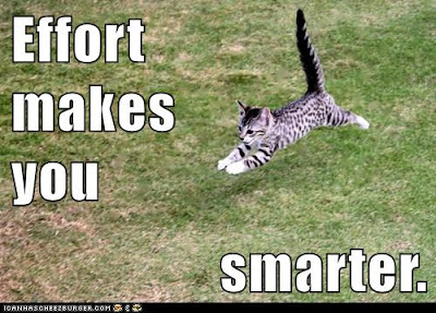 cat leaps forward