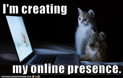 cats watch laptop screen