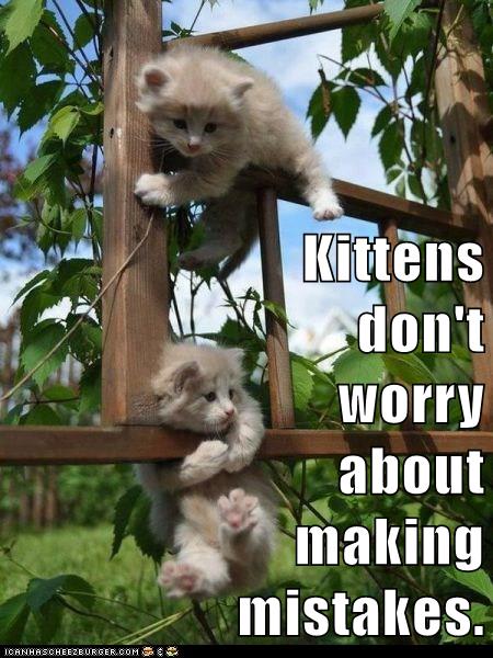 kittens climbing trellis
