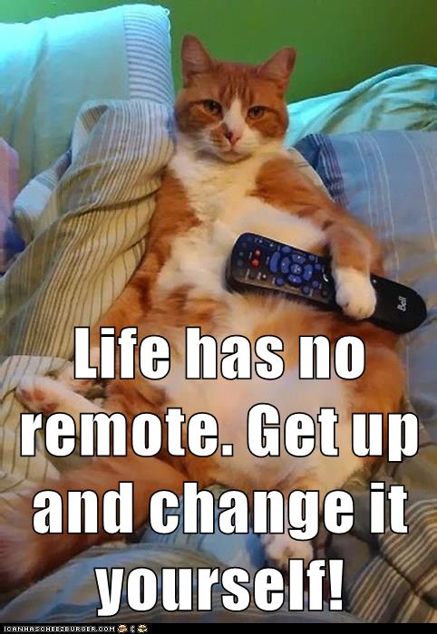 cat holds remote control