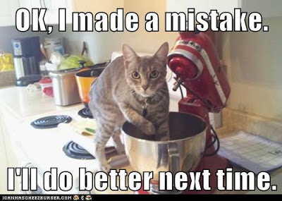 cat caught in mixing bowl in kitchen