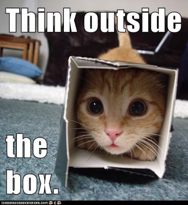cat in very small box