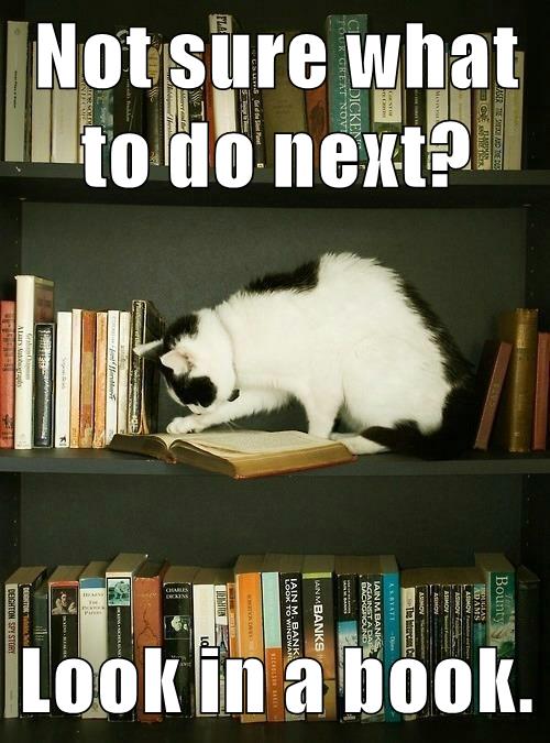 cat reads book
