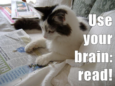 cat reads newspaper