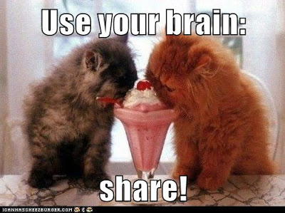 cats share milkshake