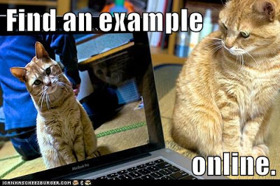 cat sees itself in computer screen