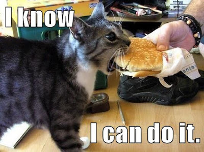 cat opens wide to eat hamburgers