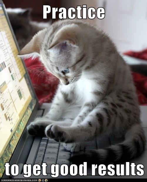kitten on keyboard