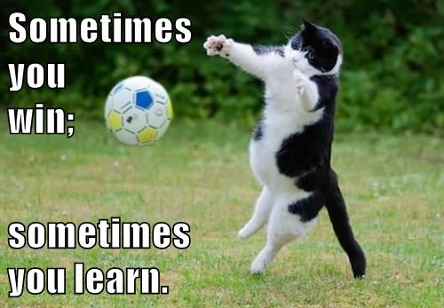cat leaps for soccer ball