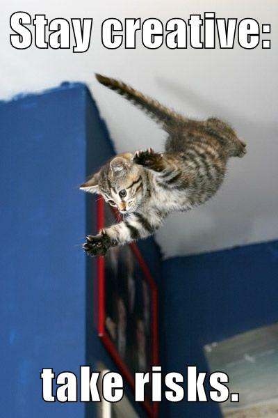 kitten leaps from ceiling