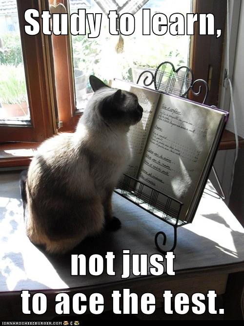 cat studies sheet music