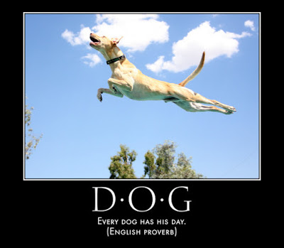 dog leaping 