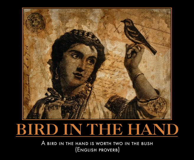 woman holds bird