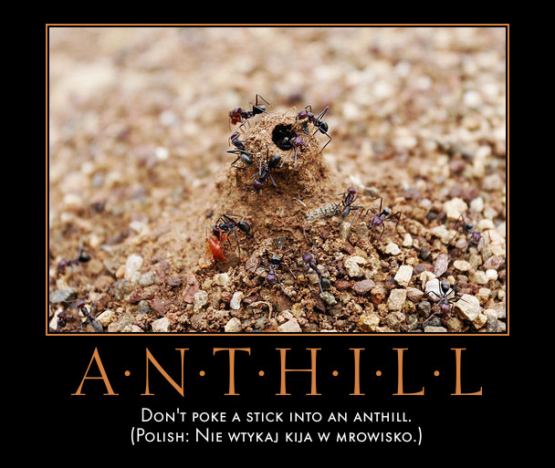 anthill