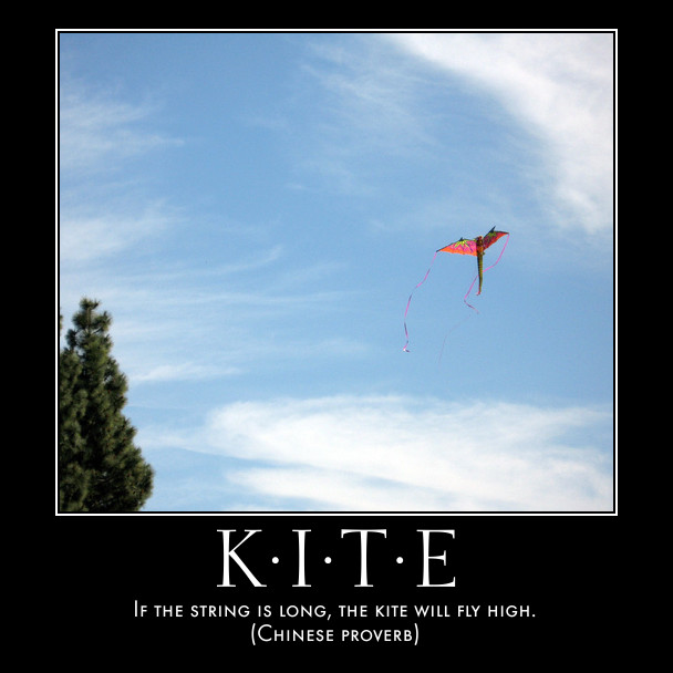 kite in sky