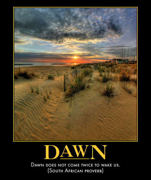 dawn over the desert