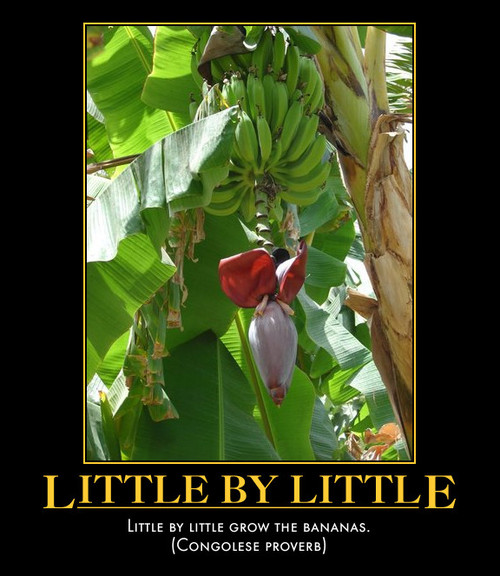 banana tree flower