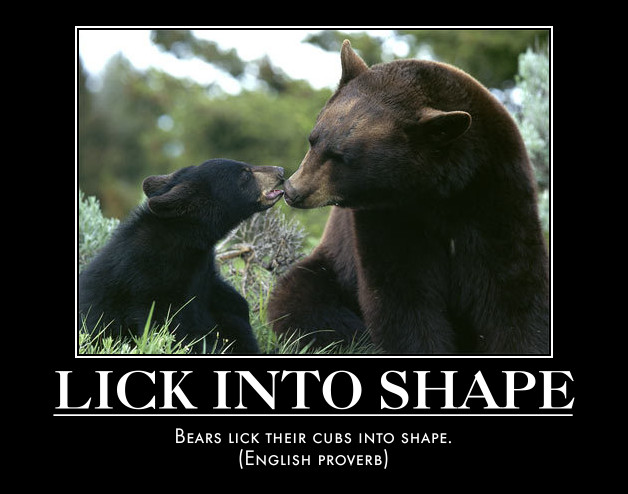 bear and cub