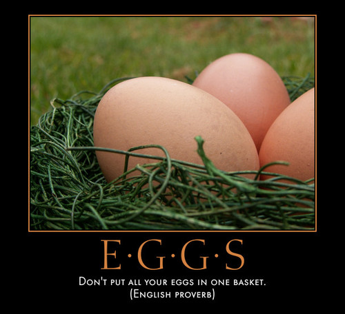 eggs in basket