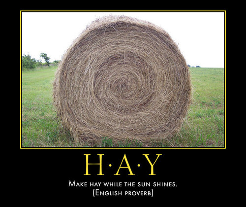 bale of hay