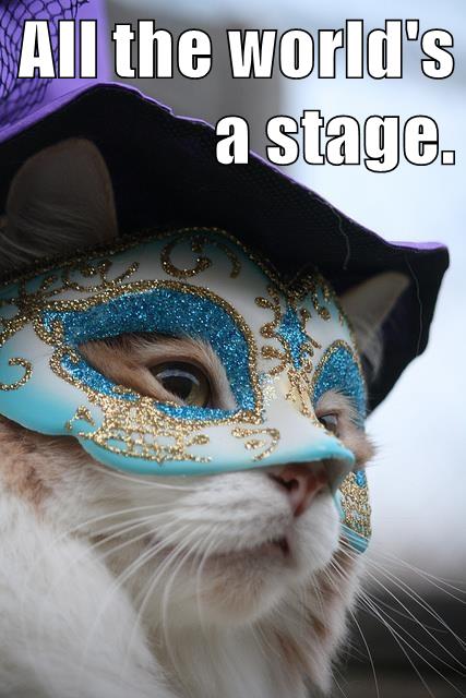 cat in mask