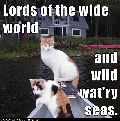 two cats in a small boat