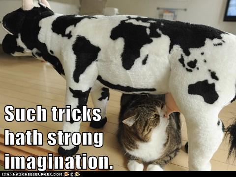 cat tries to get milk from stuffed cow toy