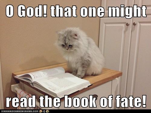 cat looks in open book