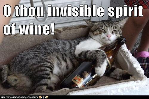 cat with wine bottle