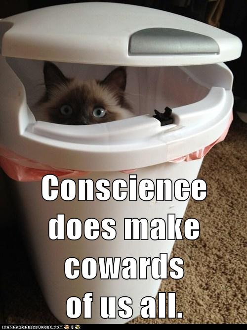 cat hides in kitchen trash can under lid