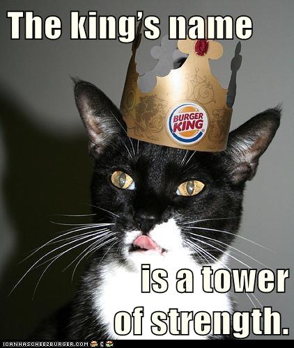 cat with Burger King hat