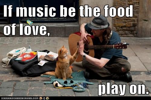 cat gives musician a high-five with paw