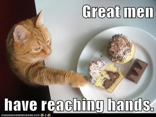 cat reaches to get deserts off tray