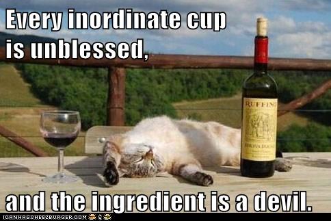 cat lies on back next to wine bottle