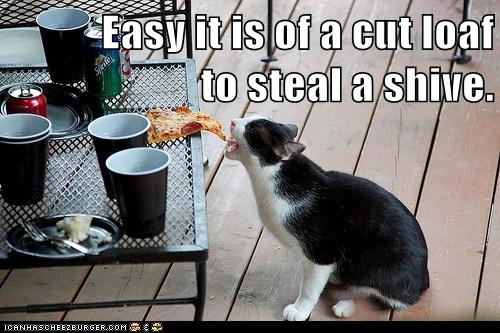 cat steals slice of pizza