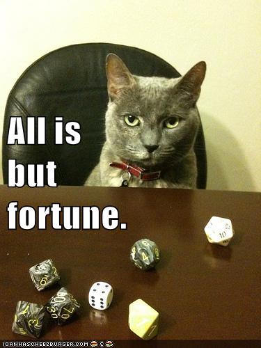 cat with dice