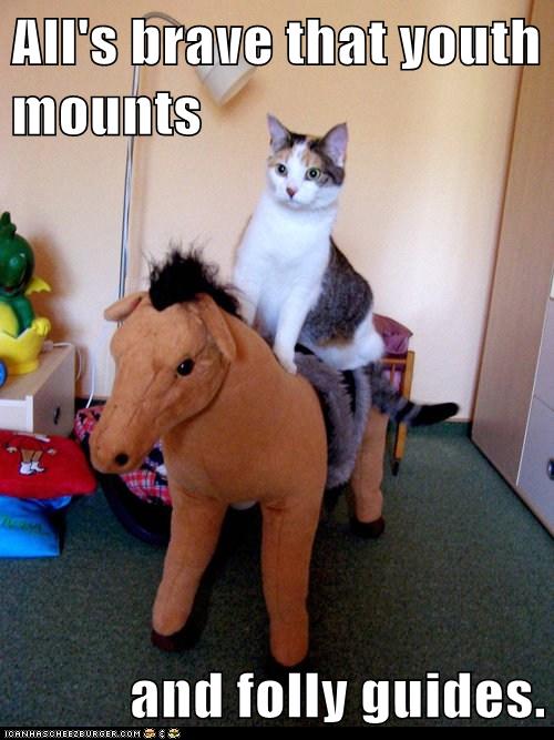 cat rides on stuffed toy horse