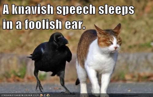 crow talks to cat