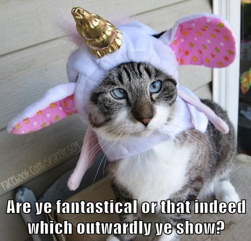 cat in unicorn hat