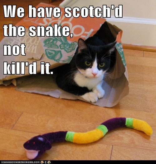 cat hides in grocery bag from stuffed toy snake