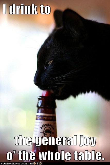 cat drinks from beer bottle