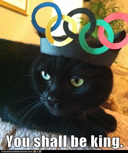 cat wearing paper crown