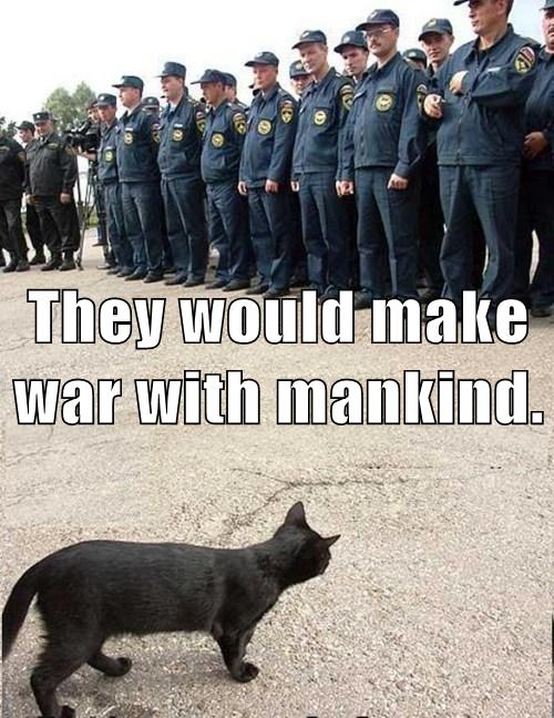 cat eyes soldiers